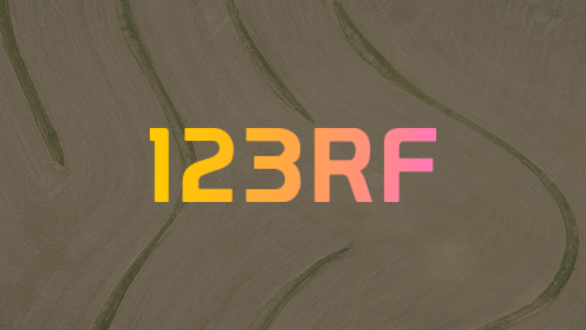123