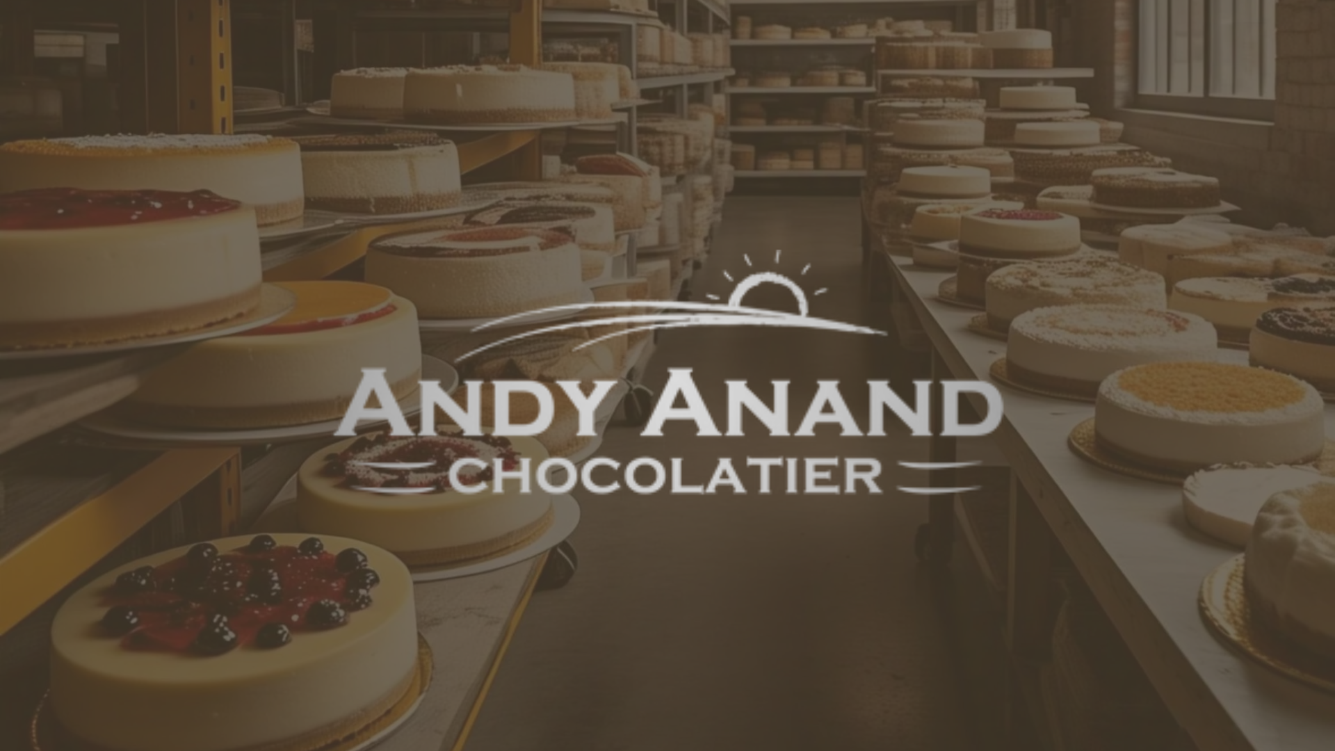 ANDY ANAND