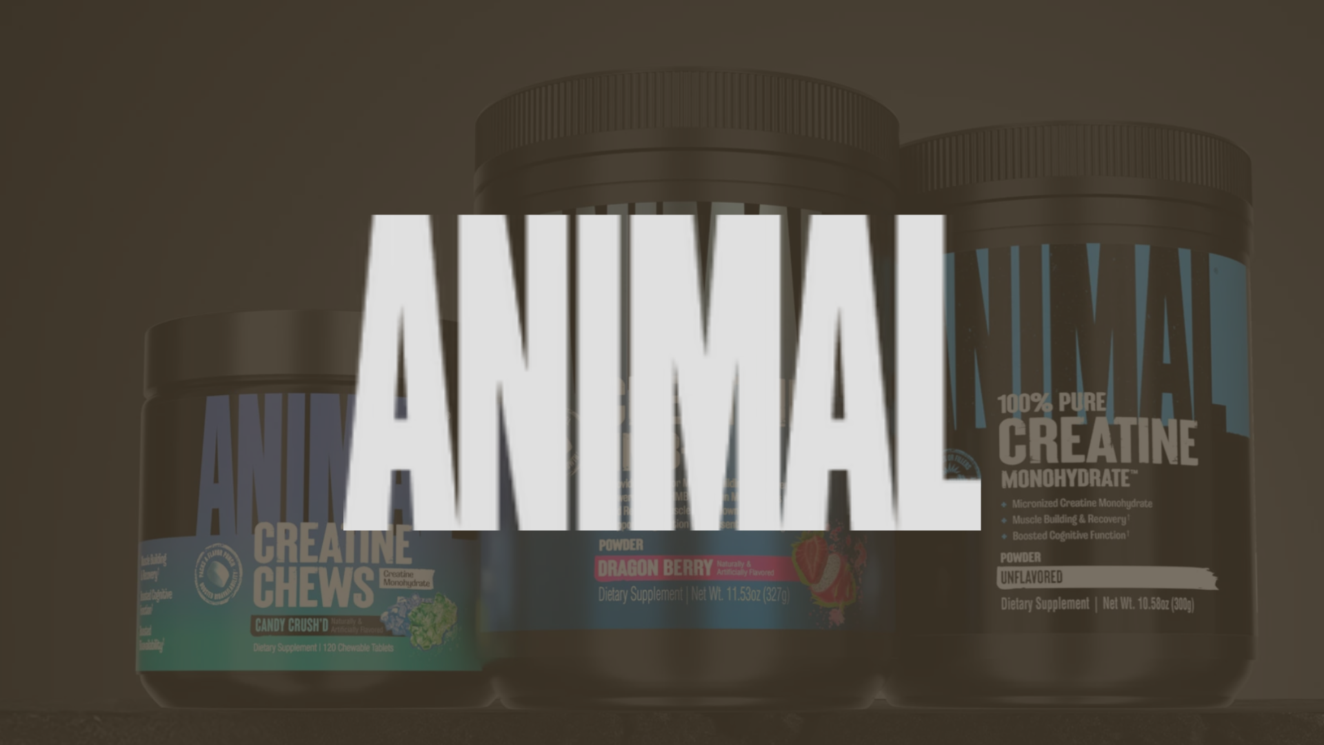 animal