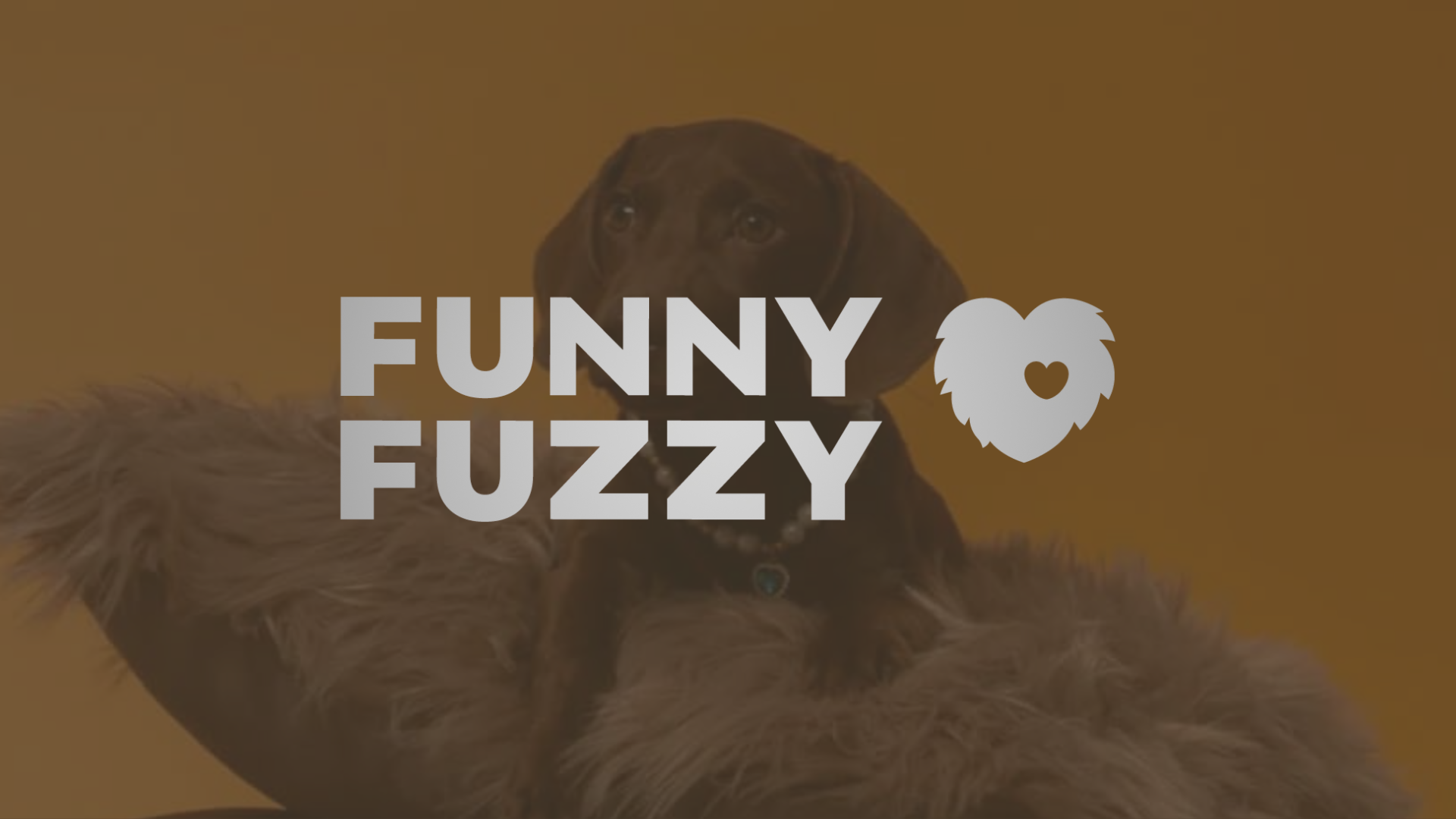 funny fuzzy