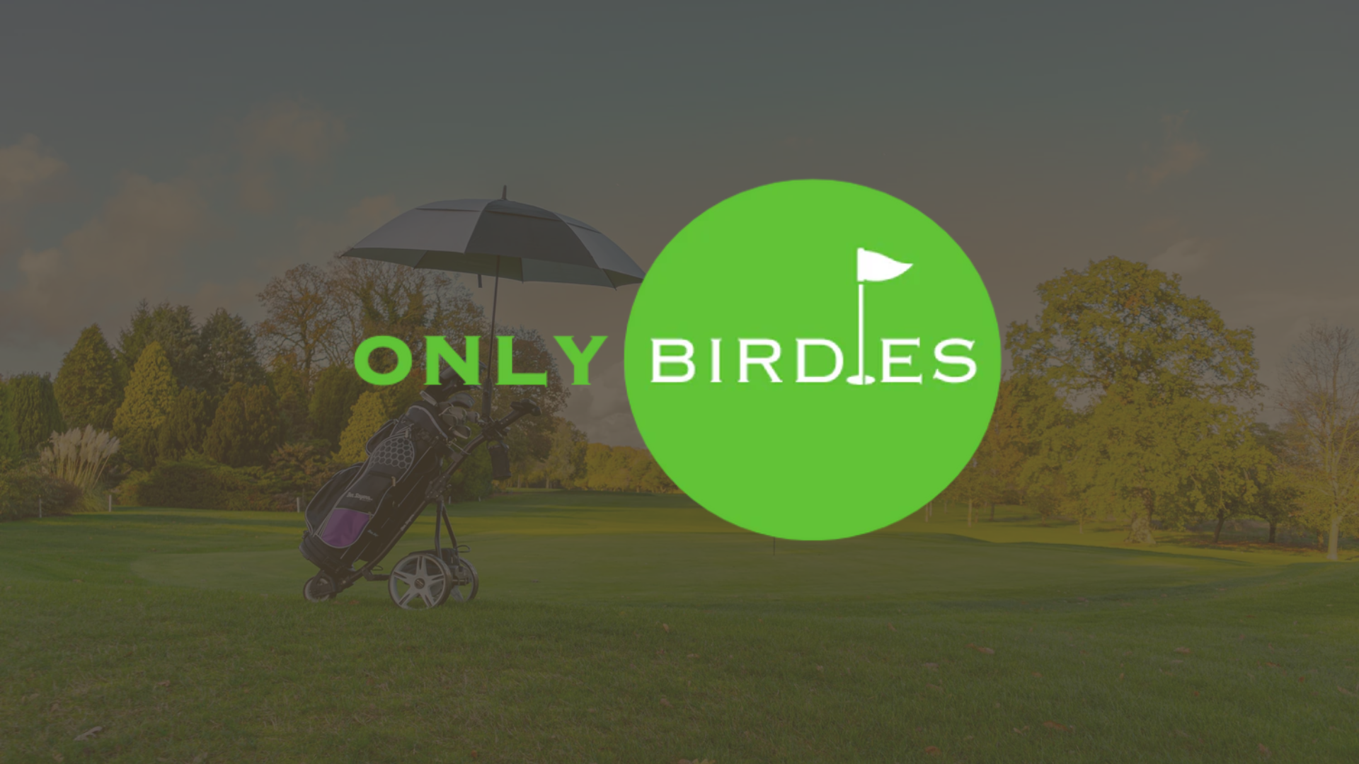 only birdies