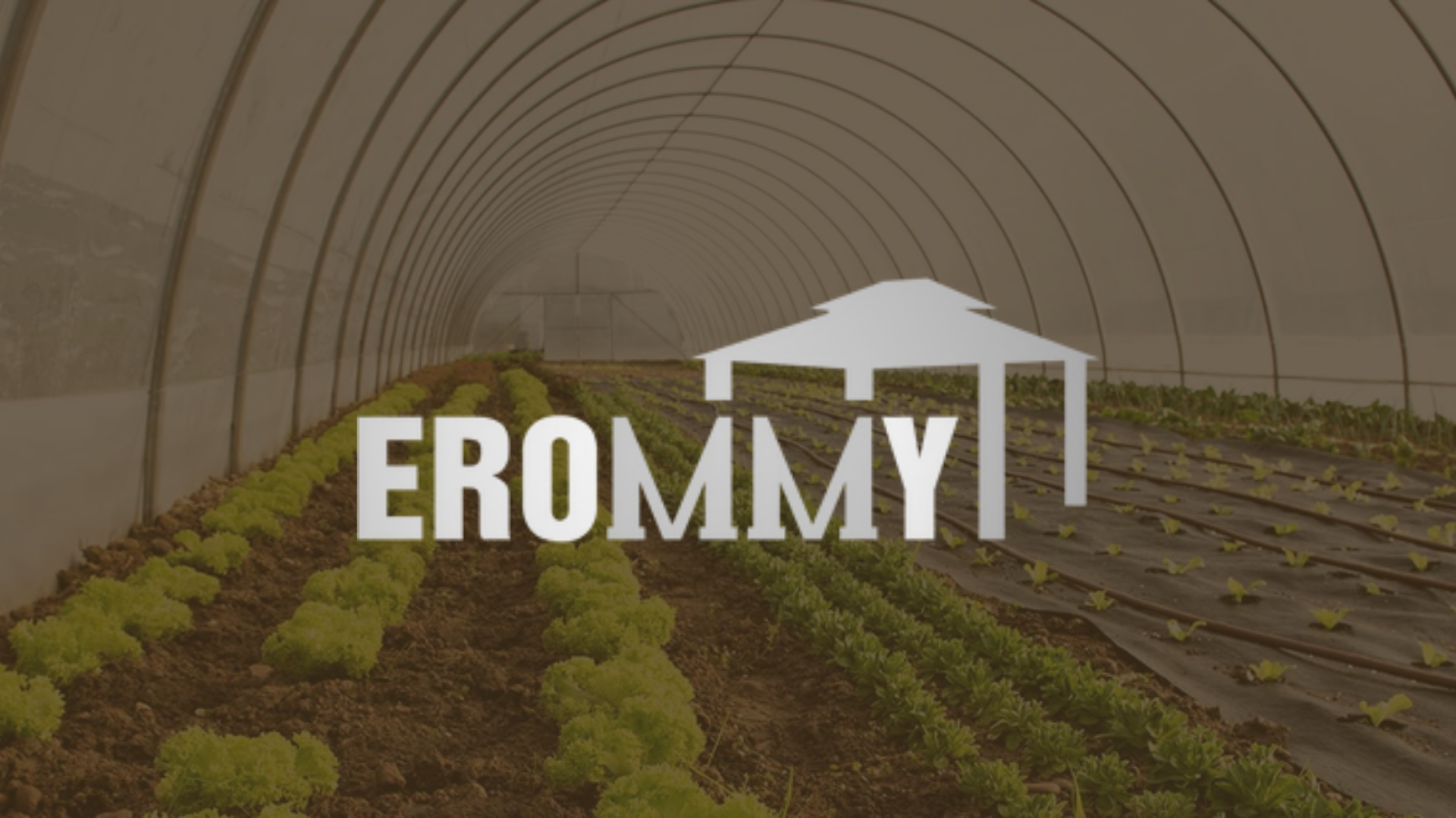 erommy