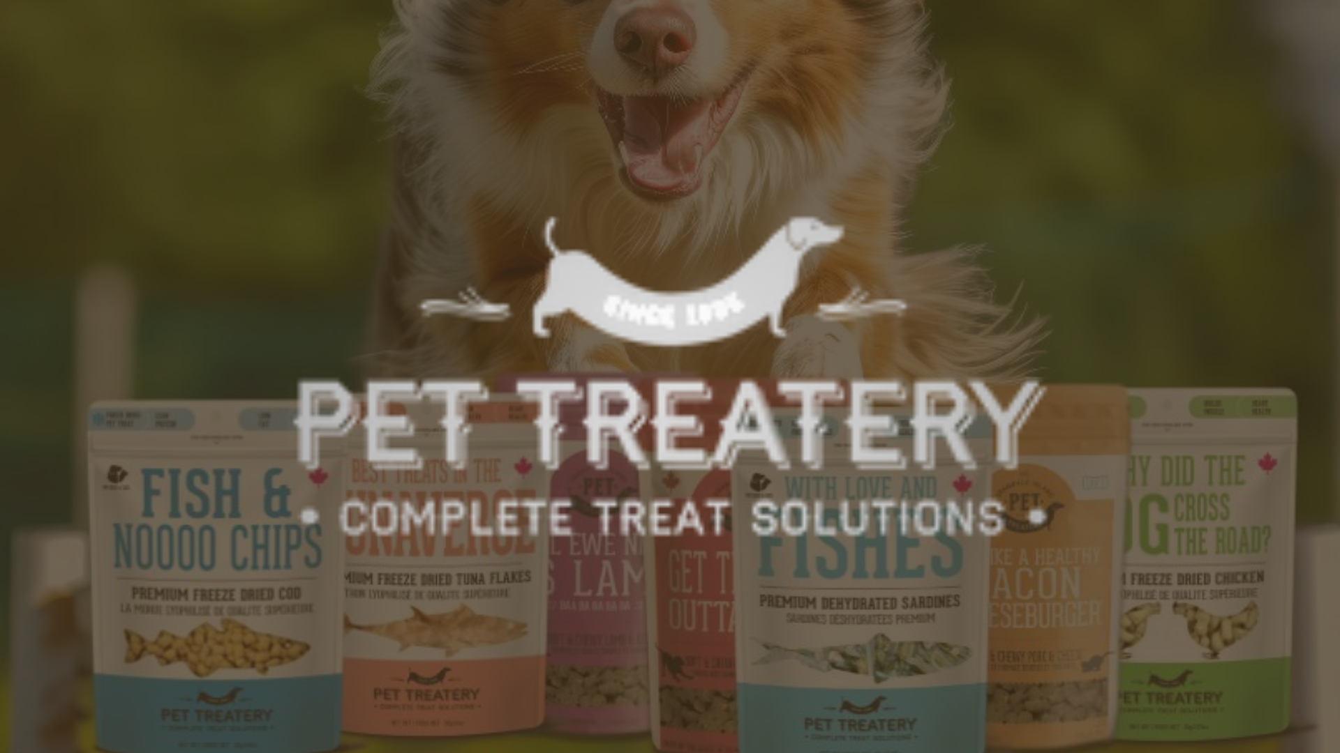 Pet Treatert