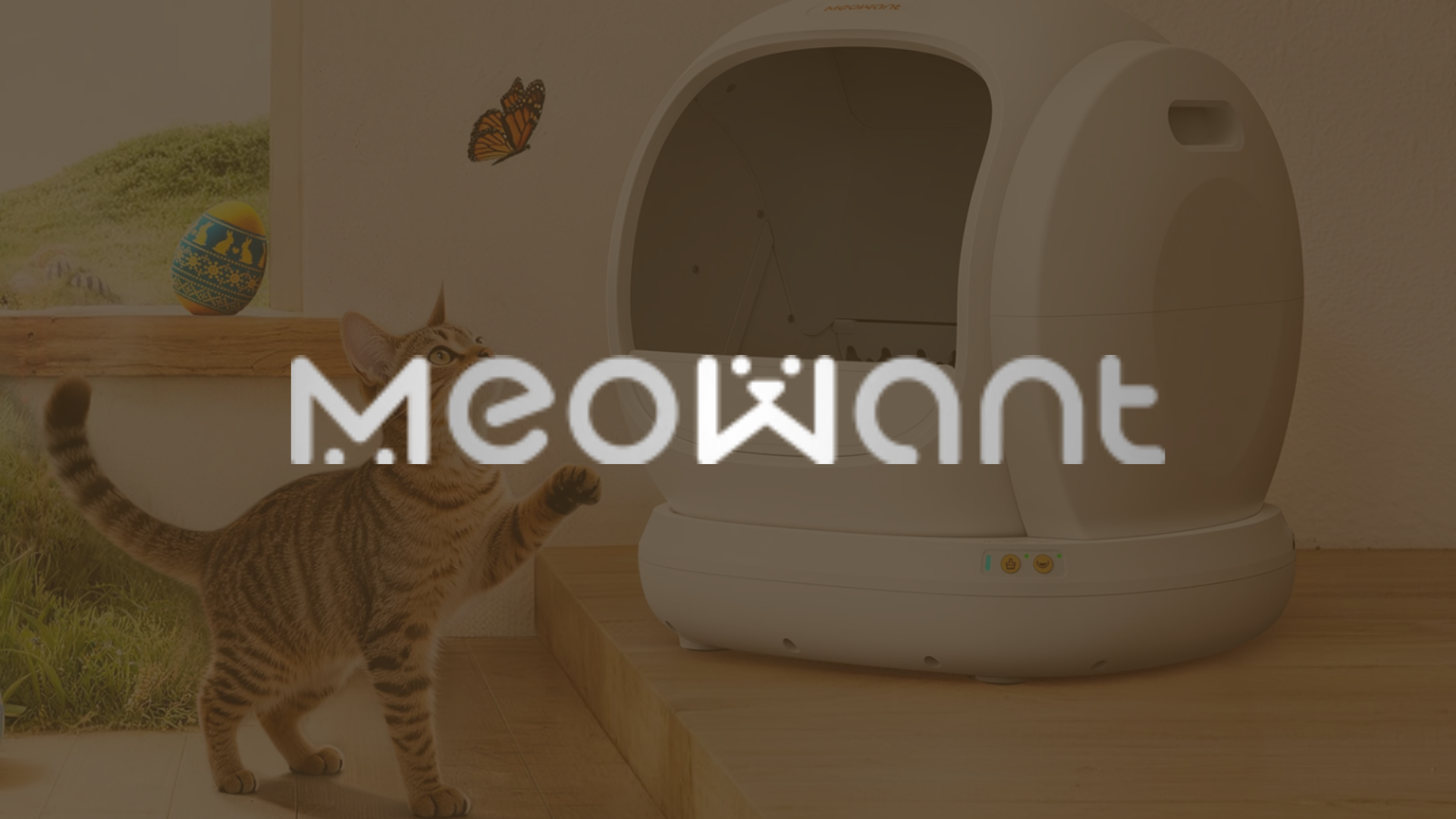 meowant