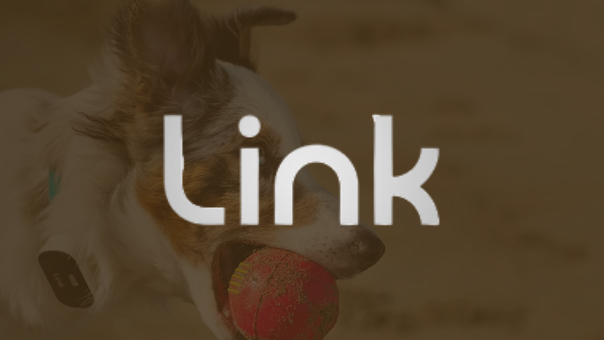 link